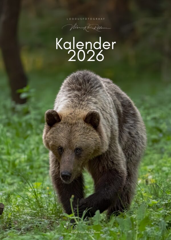 Eelmüük: 2026 Kalendrite kombo - Image 2