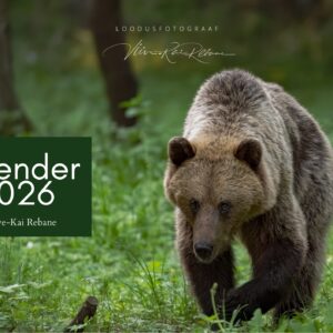 Eelmüük: loomade lauakalender 2026