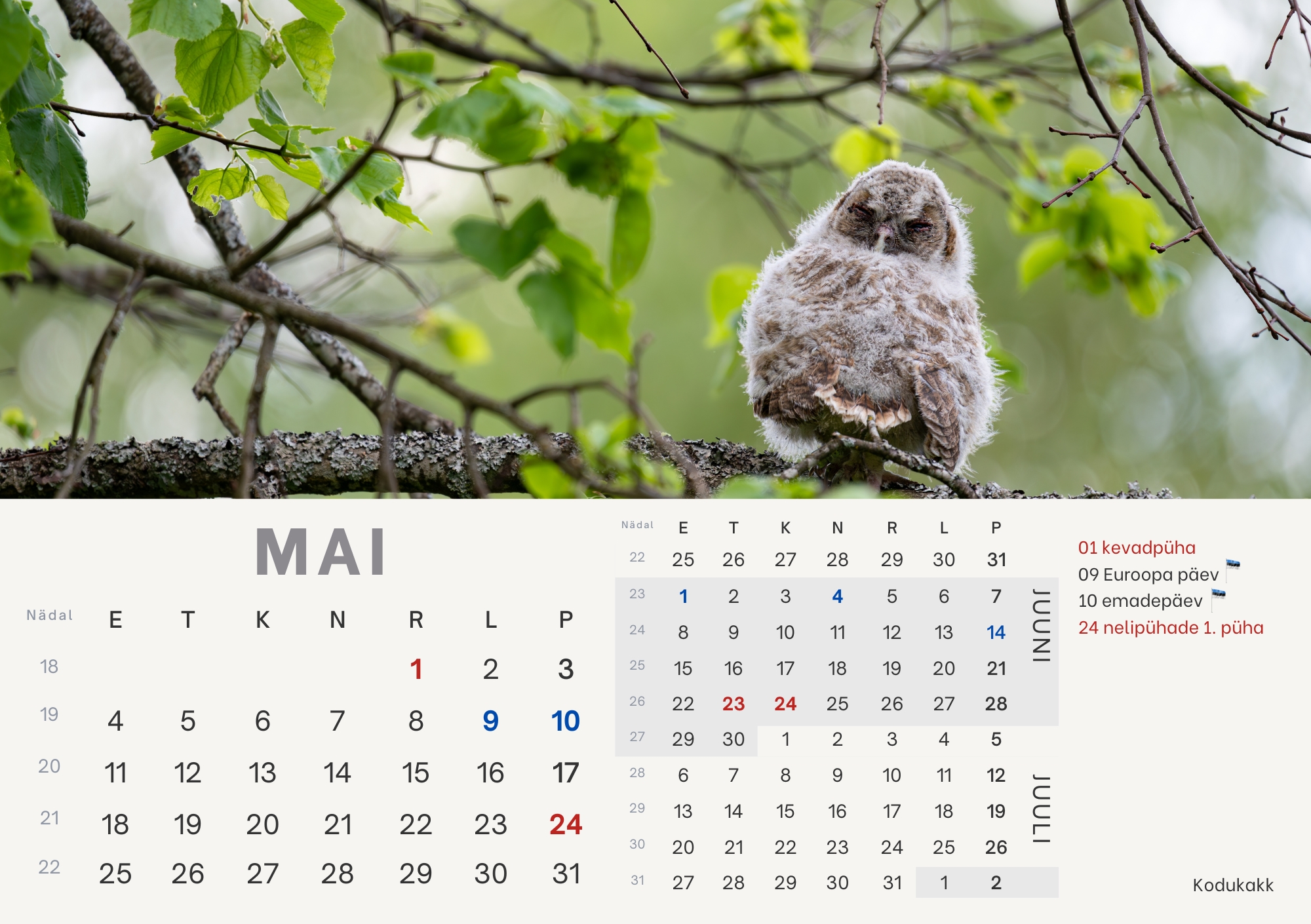 Eelmüük: loomade lauakalender 2026 - Image 6