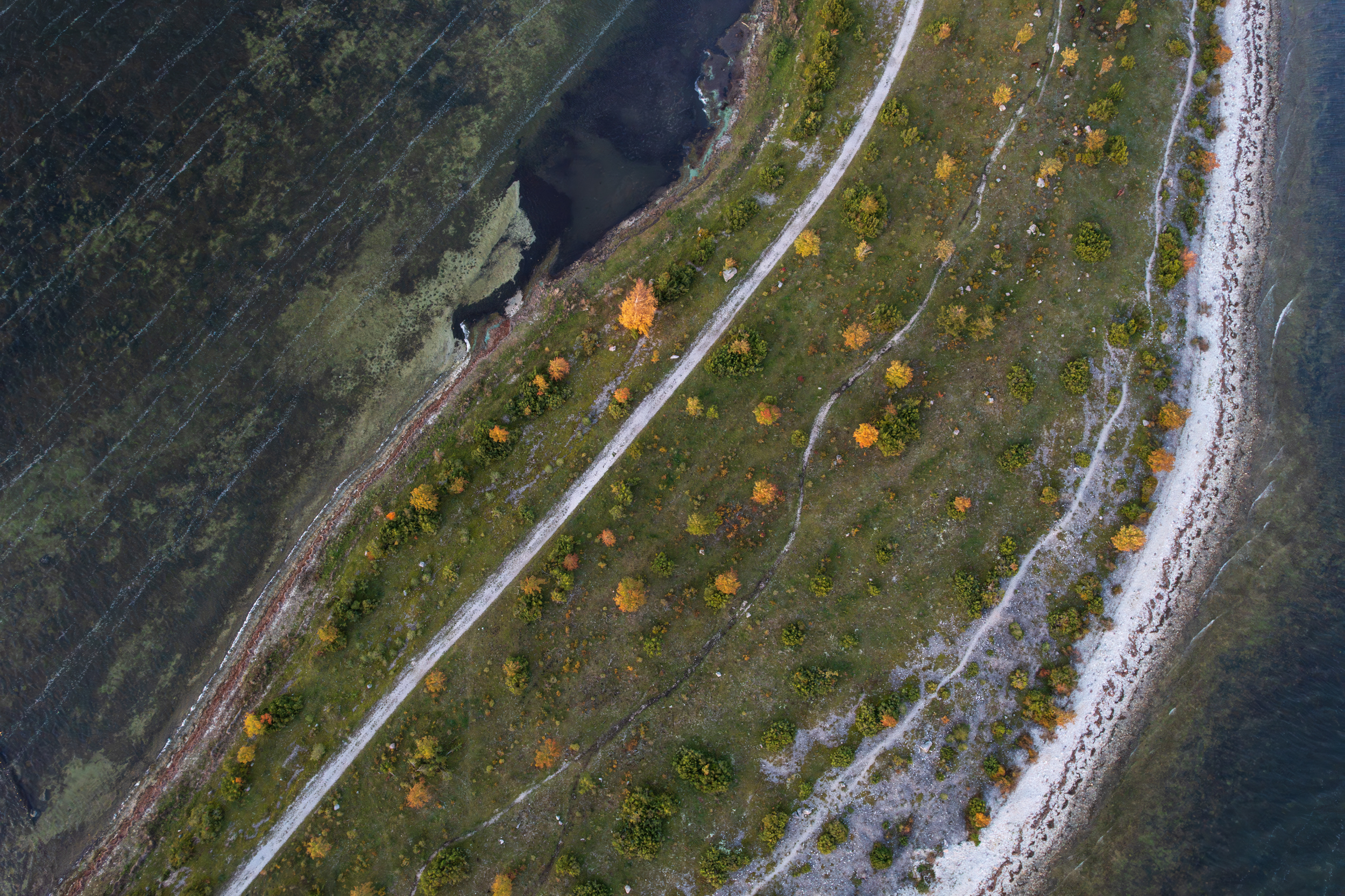 Hiiumaagia trio kalender 2026 - Image 11