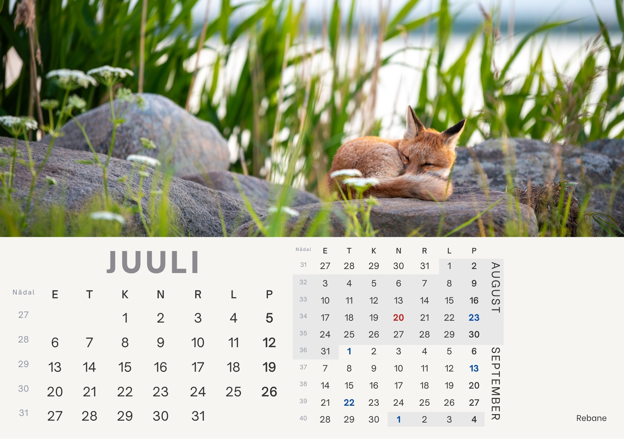 Eelmüük: loomade lauakalender 2026 - Image 8