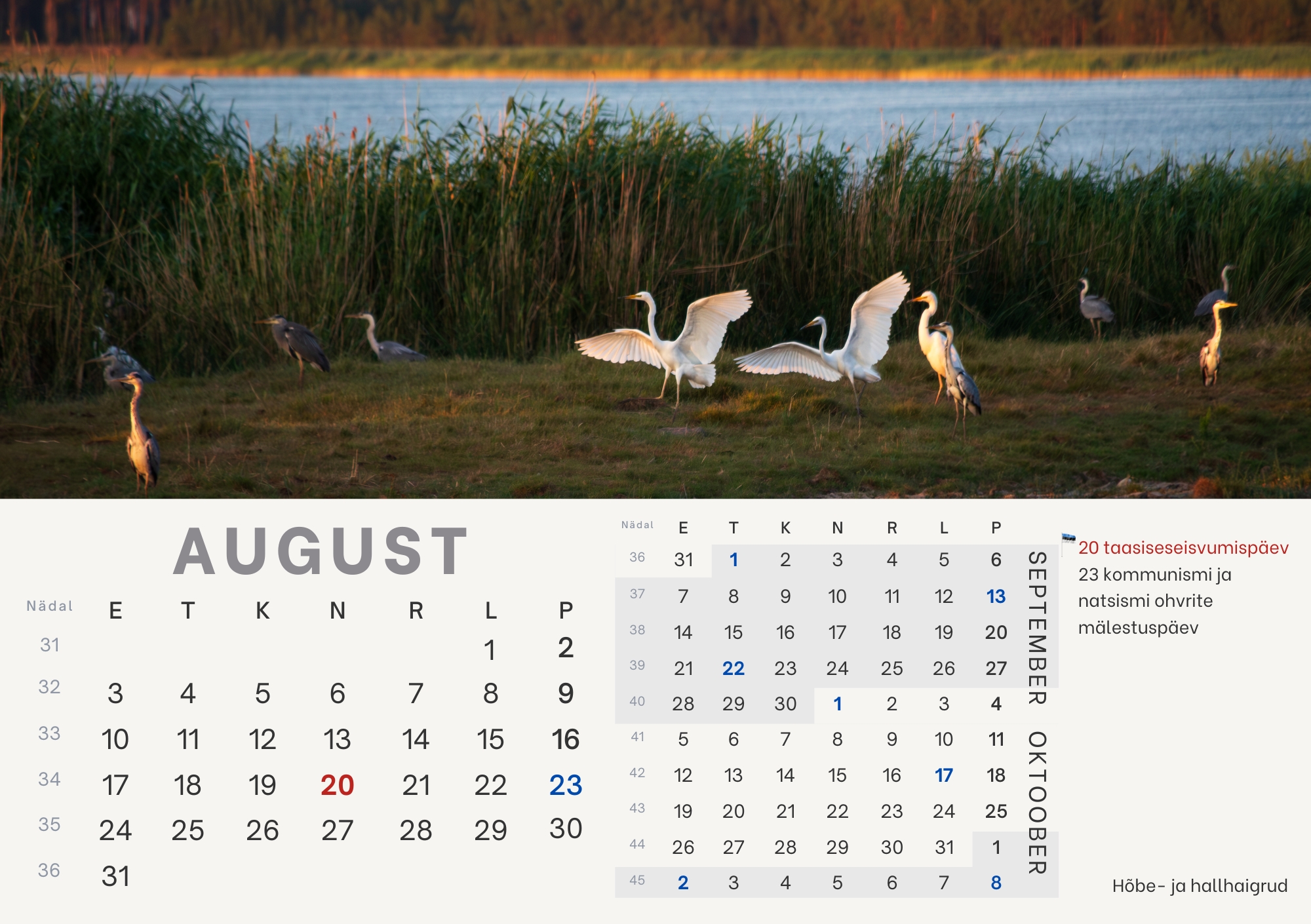 Eelmüük: loomade lauakalender 2026 - Image 9