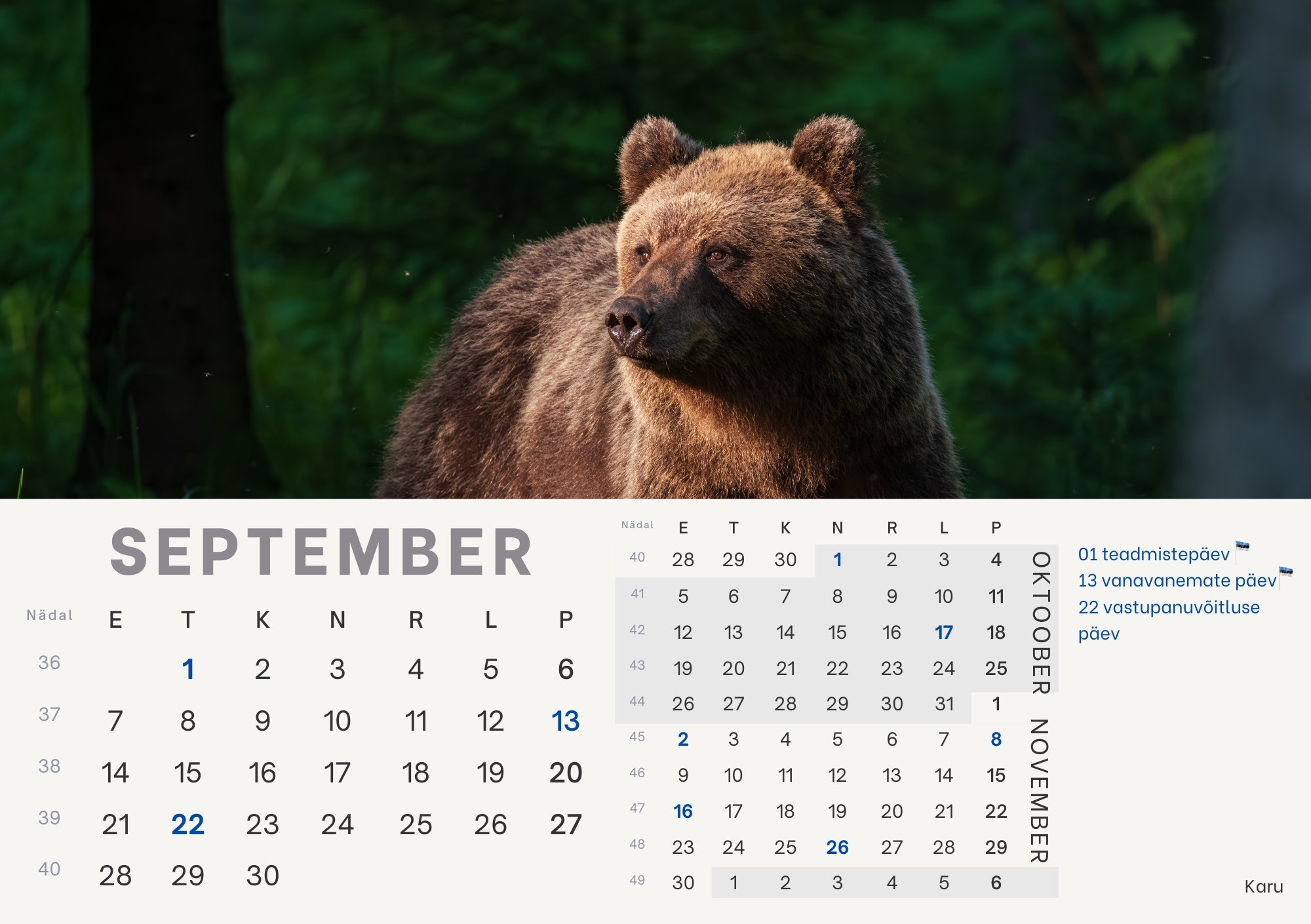 Eelmüük: loomade lauakalender 2026 - Image 10