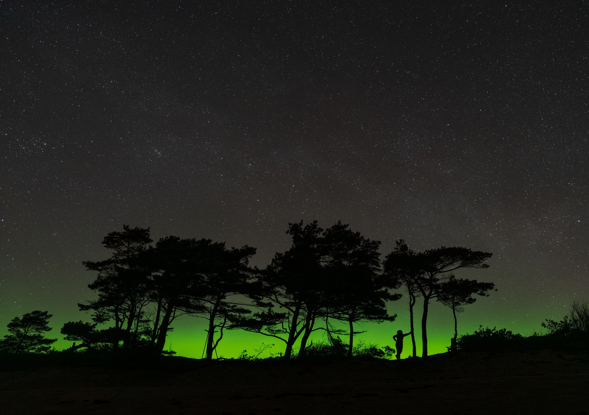Eelmüük: Hiiumaagia lauakalender 2026 - Image 13