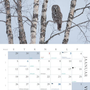 Loomade trio kalender 2026