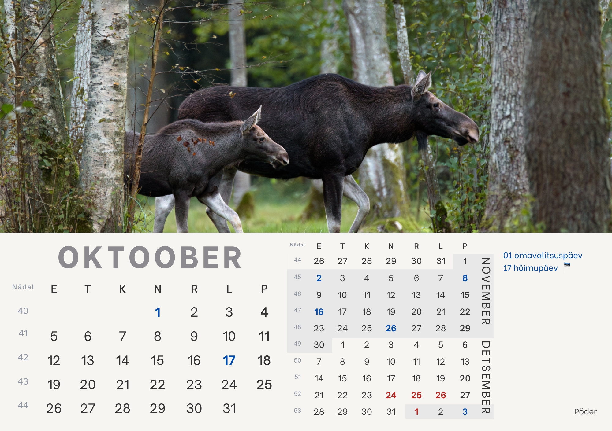 Eelmüük: loomade lauakalender 2026 - Image 12