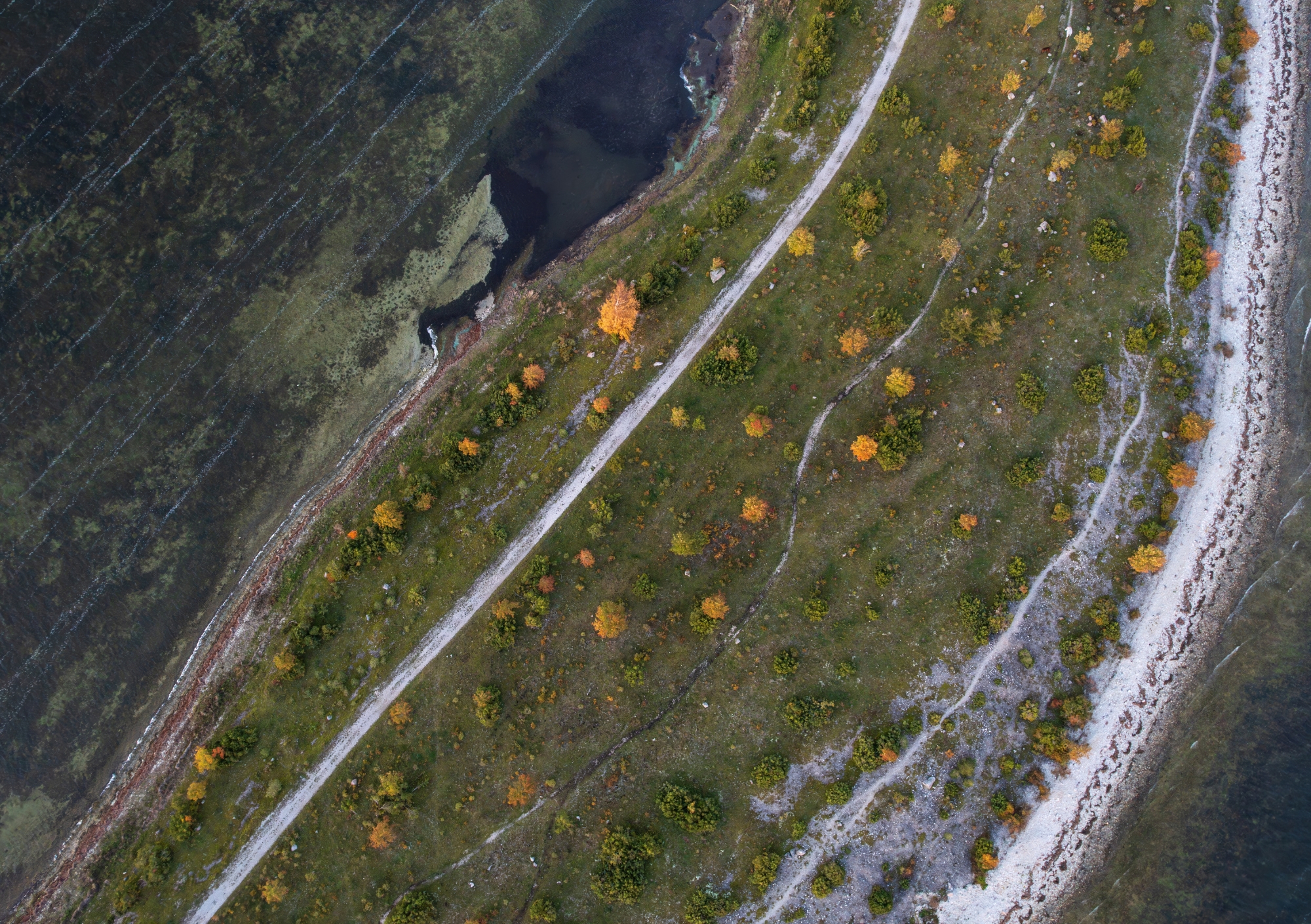 Eelmüük: Hiiumaagia lauakalender 2026 - Image 16