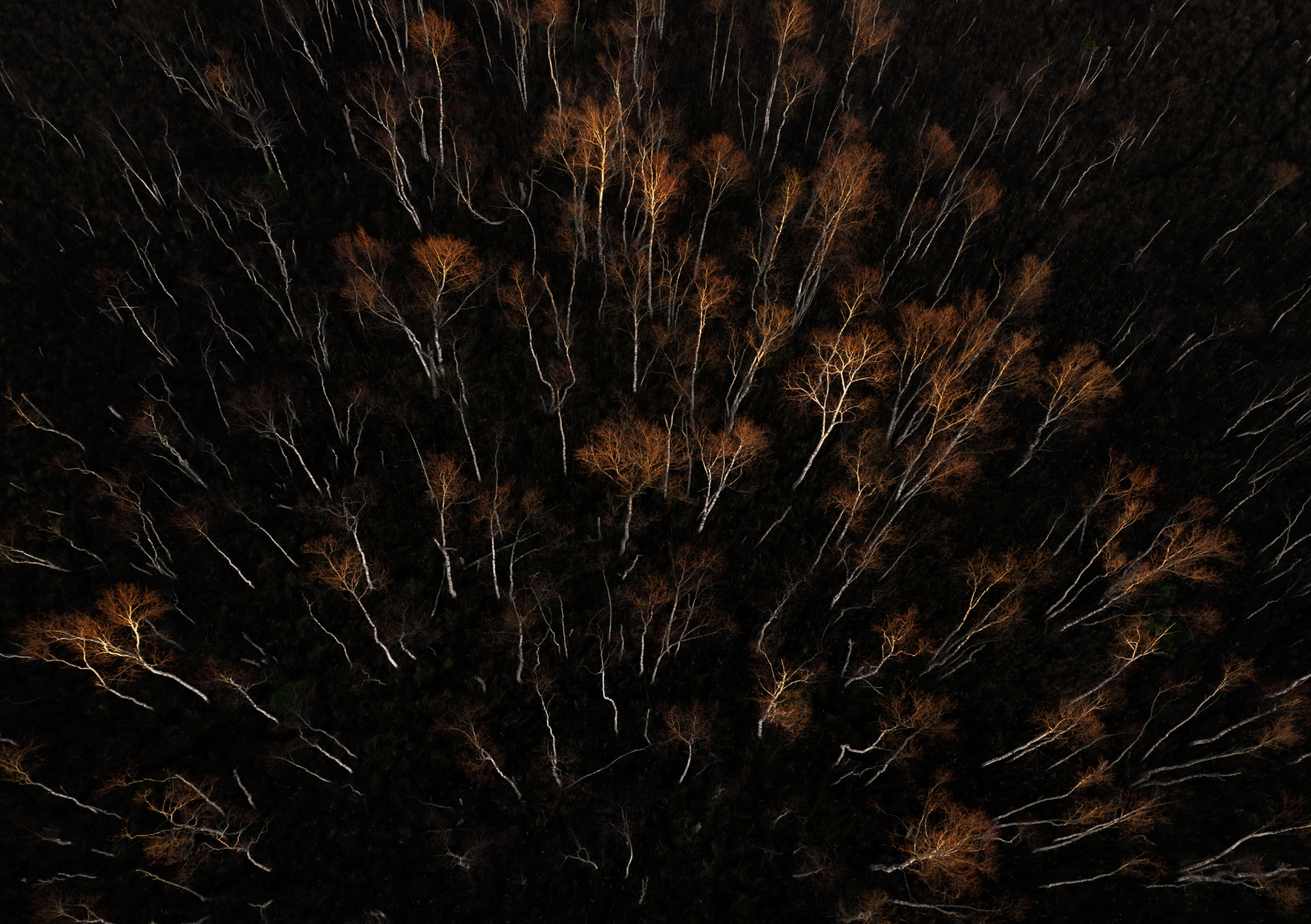 Eelmüük: Hiiumaagia lauakalender 2026 - Image 14