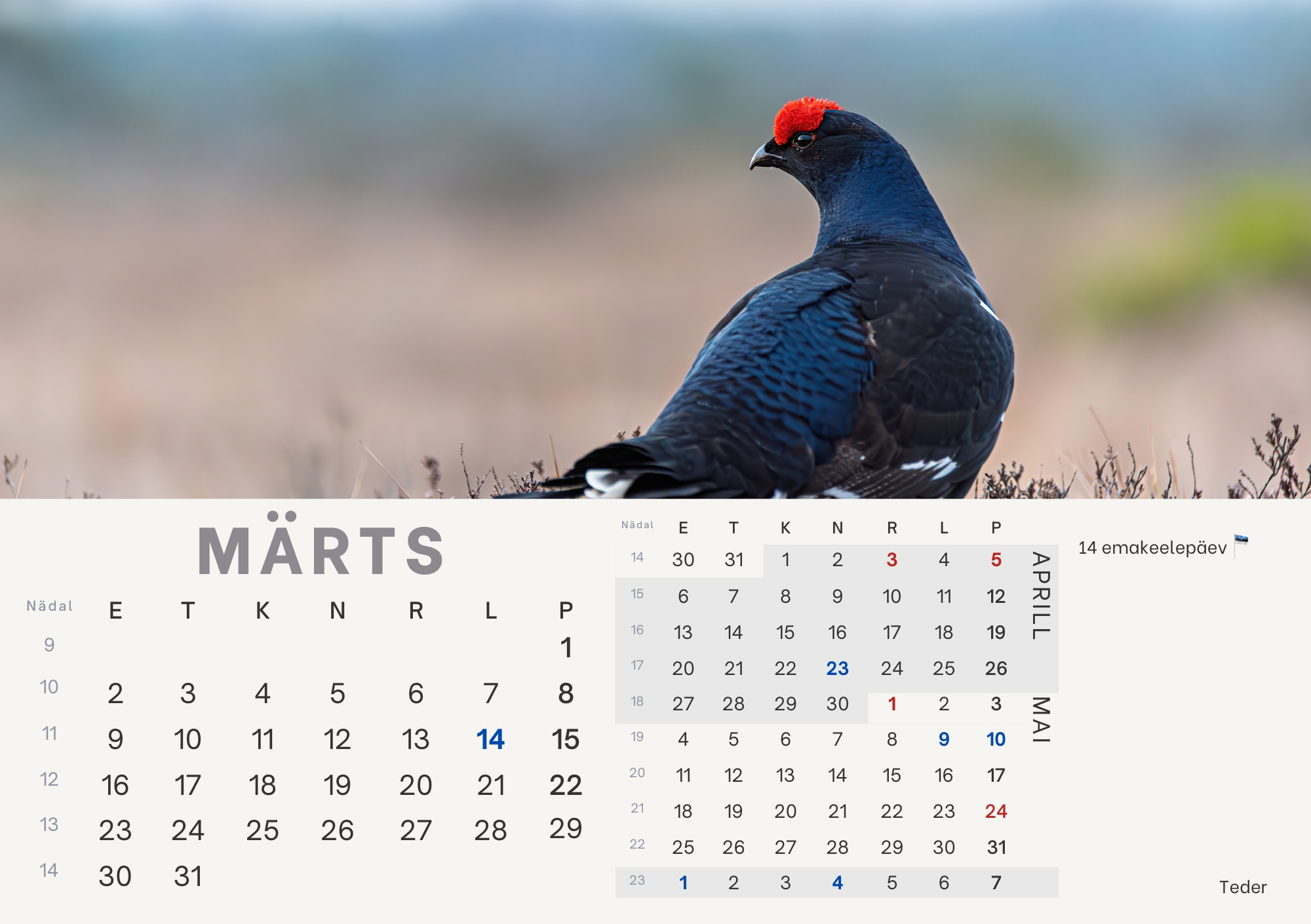 Eelmüük: loomade lauakalender 2026 - Image 5