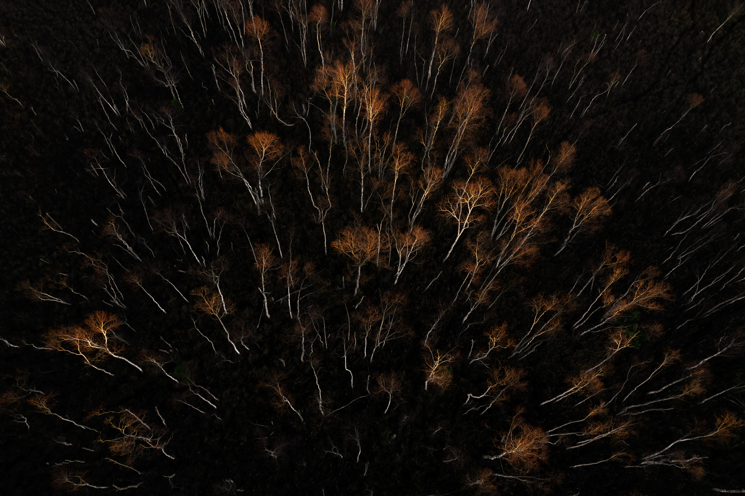 Hiiumaagia trio kalender 2026 - Image 12